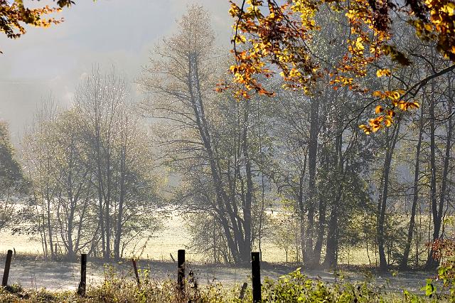 herbstnebel.jpg